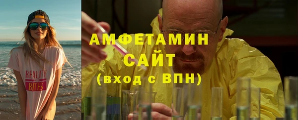 индика Костерёво