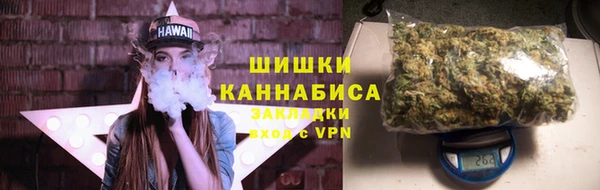 индика Костерёво