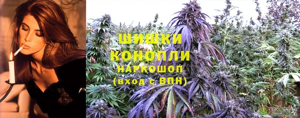 индика Костерёво