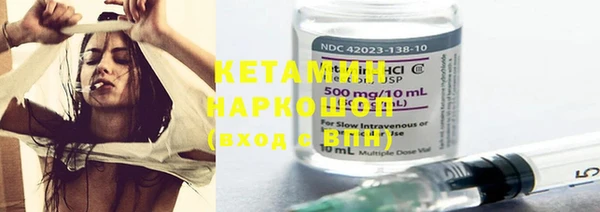 индика Костерёво