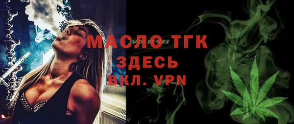 индика Костерёво