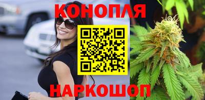 mdpv Заводоуковск