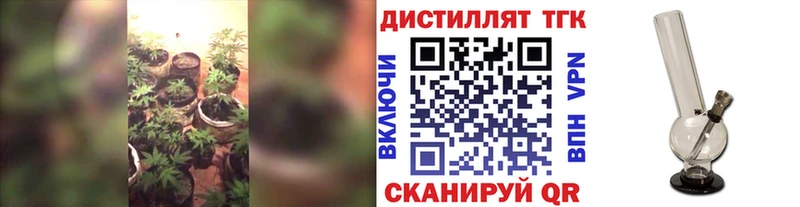 ТГК THC oil  KRAKEN ONION  Сафоново  где продают  