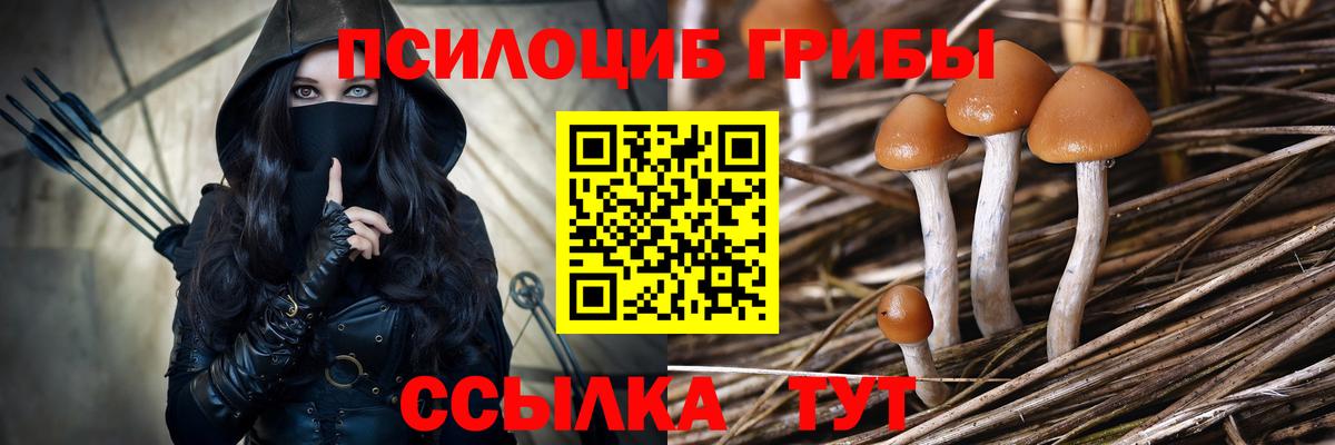 Псилоцибиновые грибы прущие грибы  Вход с VPN  Сафоново 
